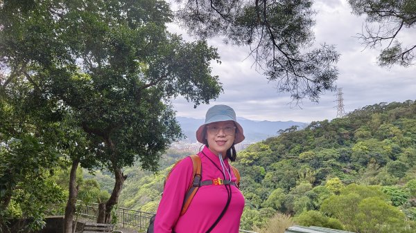 (姨婆趴趴走)第五十集:新北樹林大同山、青龍嶺、大棟山諸峰連走2751534