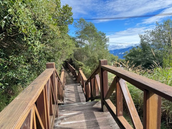 觀霧-檜山巨木群步道2925489