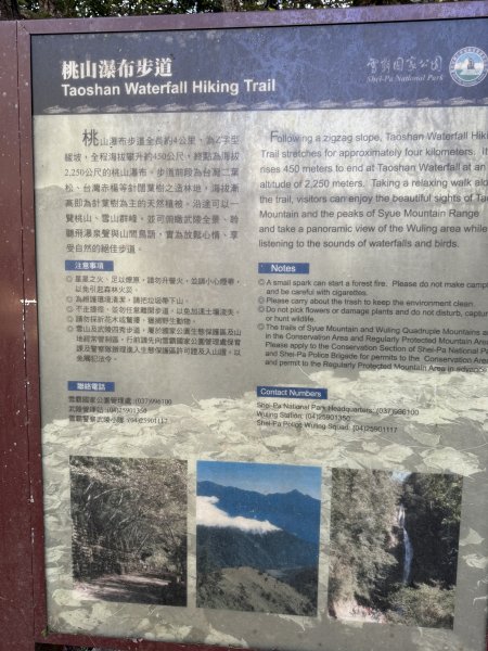 1141108-09桃山單攻2936092