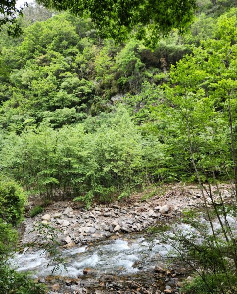 【百岳】志佳陽大山2779739