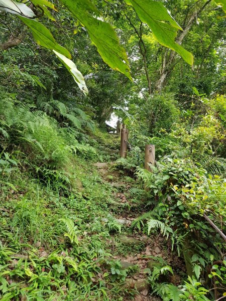 2019.05.15中和烘爐地南勢角山586159