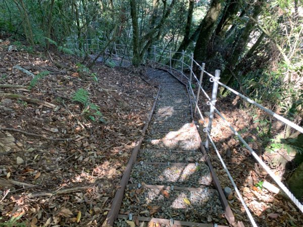 梨山賓館步道876042