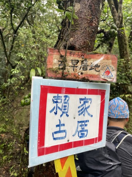 南北豹子廚山2925446