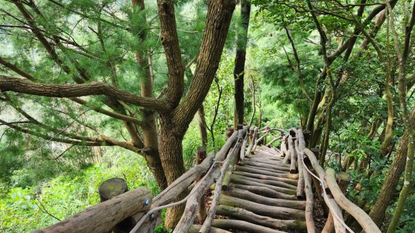 郡大山，郡大山北峰，望鄉山，白冷山，頭嵙山，黑山北峰，大坑4號，大坑3號，挑水古道，快官健行步道2299195