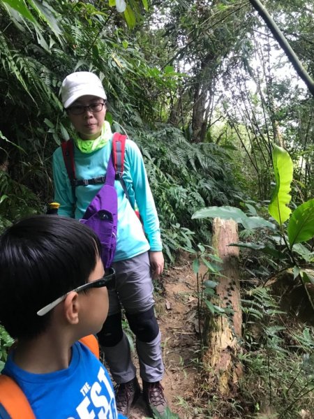 獅頭山、猿山、獅尾山三連走525970