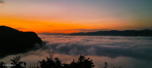 #翡翠水庫壩頂 #日出 #雲海 #夕陽 4/203039615