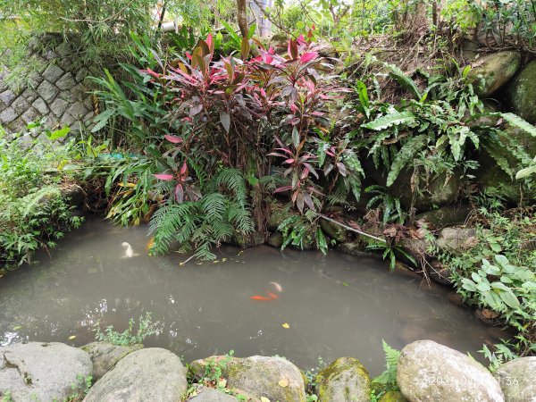圓覺寺步道→新福本坑→碧湖步道→碧山公園→國立臺灣戲曲學院→碧湖公園→大港墘公園【臺北健走趣】2849255