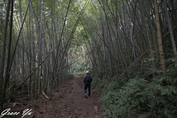 2018.2.13志繼山連走東眼山267574