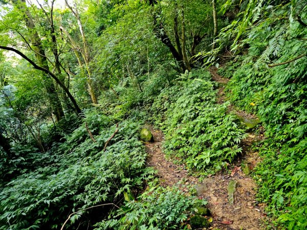 (二格山系)筆架連峰-2025微笑山線大縱走尋寶集章任務2866356