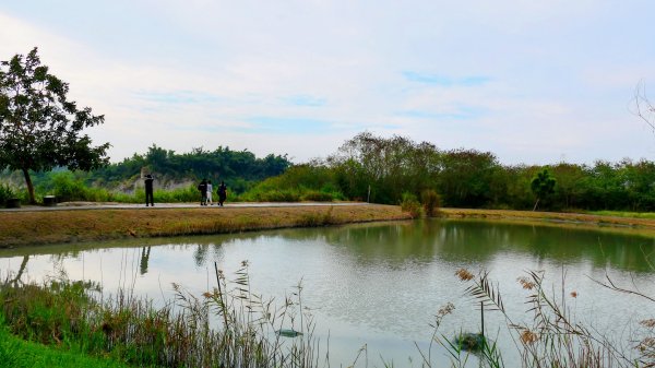 田寮月世界2954568