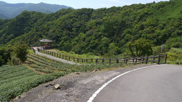 獅公髻尾山登山健行趣（郊山）1577789