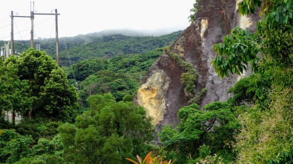 汐止八連路1716775