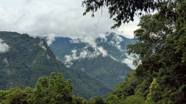 司馬庫斯巨木步道2861081