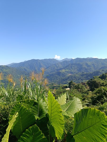 苗栗馬拉邦山2983709