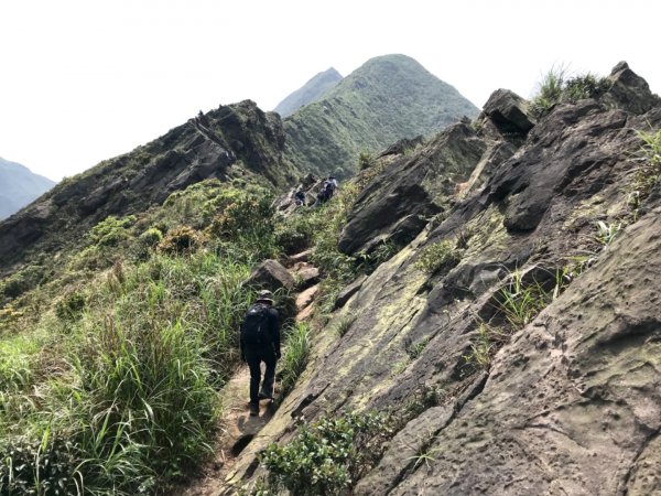 龍脊上的舞者：劍龍稜走茶壺山1325039