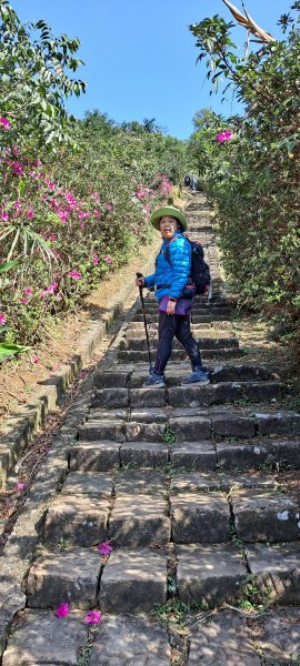 基隆山步道1274936