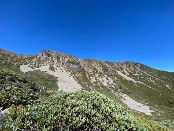 與孩子同行 2022/11/05~2022/11/06雪山主峰(七卡起登)1920774