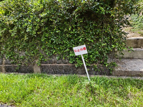 [百山百鳥尋旅-06/15] 2025_0830 貓囒山步道2875700