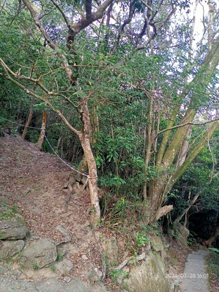 【臺北大縱走4】風櫃嘴→雙溪溝古道→五指山古道→大崙頭山北面步道→許願步道→圓覺寺步道→大溝溪→大湖2469141