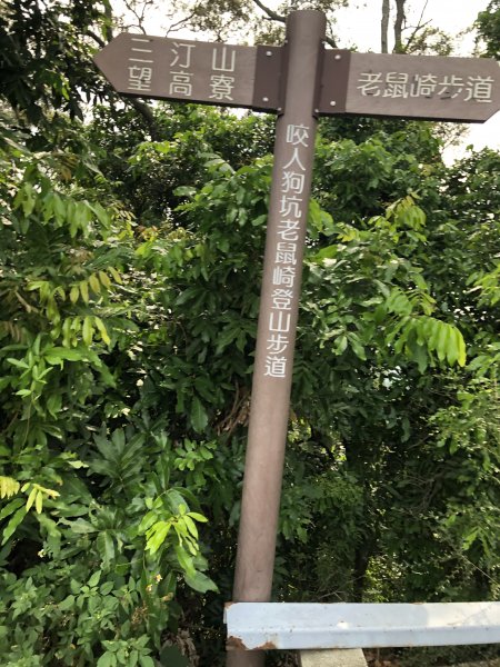 台灣小百岳No.043 三汀山1103347