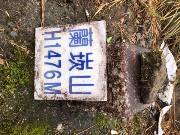 大白山+蘭崁山2695650