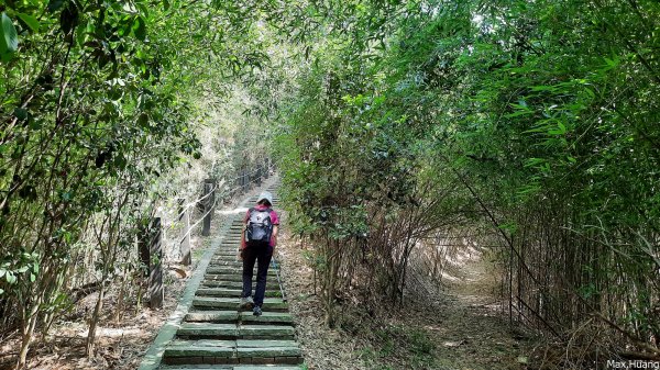 《苗栗》古道巡禮｜劍潭古道及龍昇湖環湖步道202307092213748