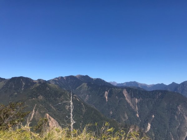 大雪山200林道北三錐山736919