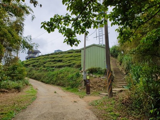 1090405後棟山連走大二尖山908339