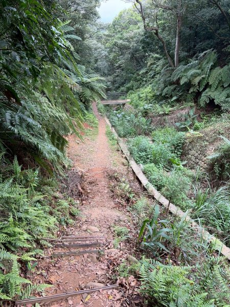 新北 林口 國際AI智慧園區-工一森林小徑-雪花步道-祖師巖登山步道-湖內公園3019087