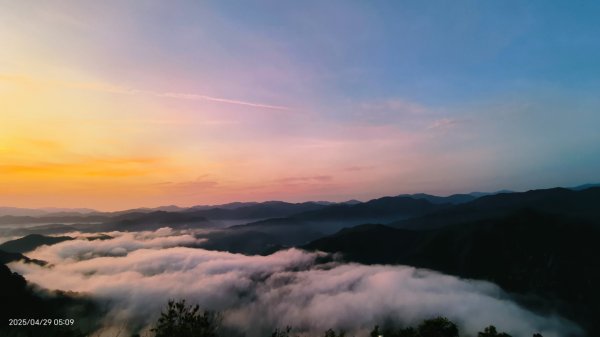 翡翠水庫壩頂 #火燒雲雲海 #日出雲海 #鱷魚島 #藍腹鷴 4/292772677