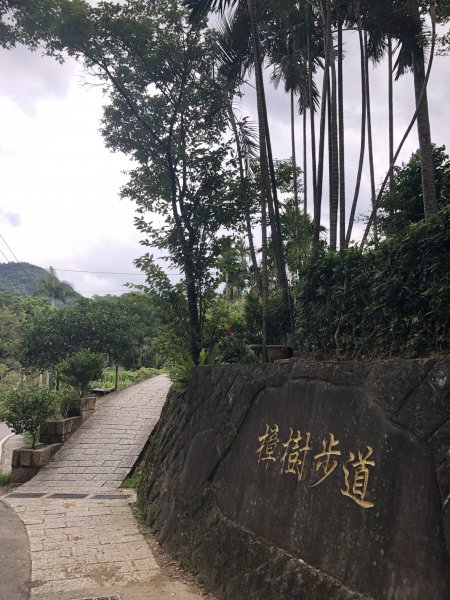 【台北大縱走7】指南宮-貓空-樟樹步道1046350