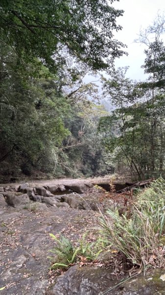 南庄大湳石壁忘雨巖掩星巖2434850