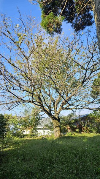 20251002竹子湖三-七窟餐廳-六窟溫泉-廢棄餐廳石佛(消失)-大石閣(騎車爬山)2900646