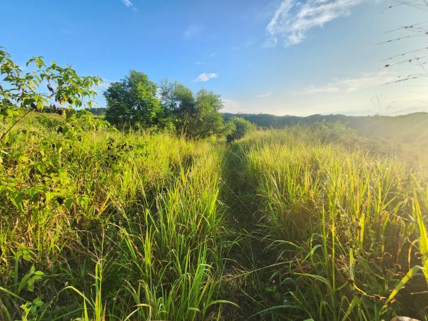 20250921學田山王田山大肚山大尖山竹坑山2928466