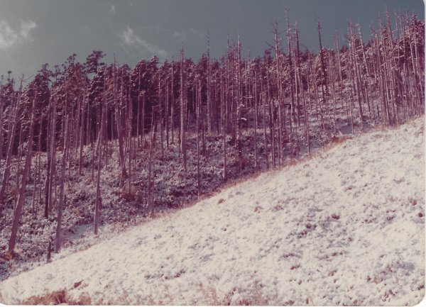雪山主東峰賞雪行(民國71年)711206