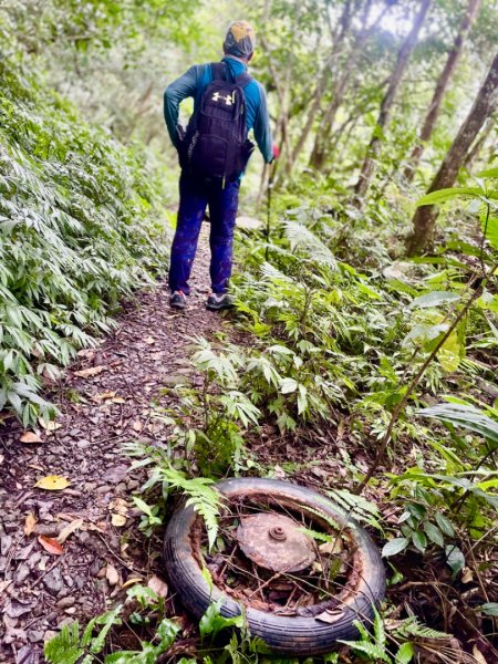 烏來西坑林道/探勘派出護管所彈藥庫遺址至獅坑橋2576299