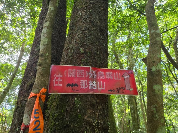 馬武督探索森林、外鳥嘴山2860614