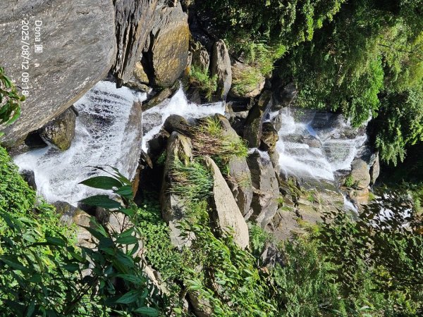 福山大羅蘭溪>古圳步道>黃金水岸2858961