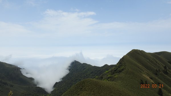 陽明山趴趴走，整天差強人意雲海1650814