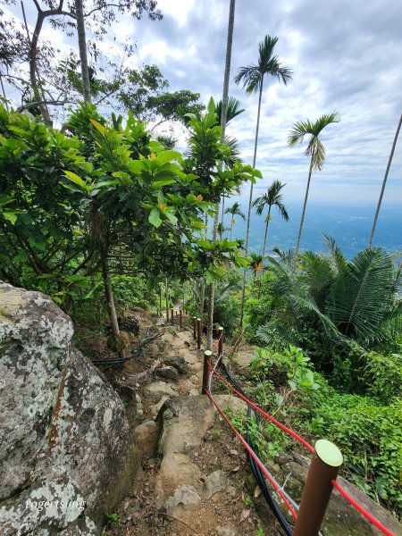 低海拔雲海美景(阿拔泉山稜線步道、樟腦寮車站、竹崎車站)2637076