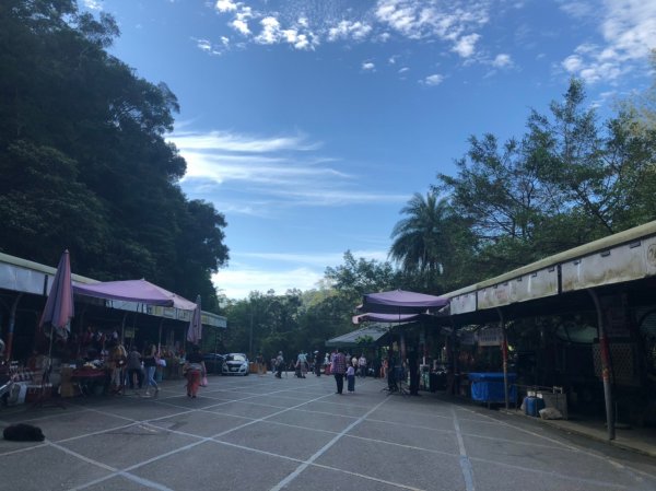 療癒系抹茶山，小百岳三角崙山，五峰旗瀑布1029856