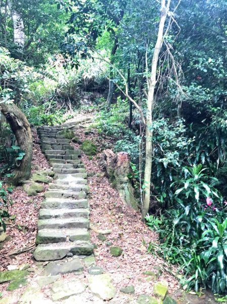 內湖「金面山·剪刀石山」601519