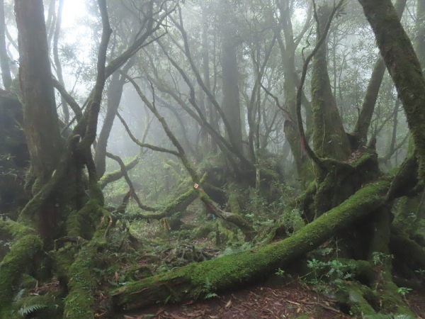 復興三尖～復興尖山