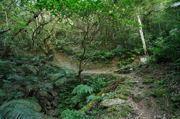 宜蘭 頭城 石空古道、太和山、石空山2398503