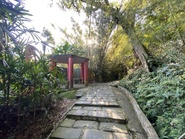 2025微笑山線大縱走尋寶集章任務-Ep.04【天上山系】望月亭桐花段｜石門內尖山東峰 ×石門內尖山2979069