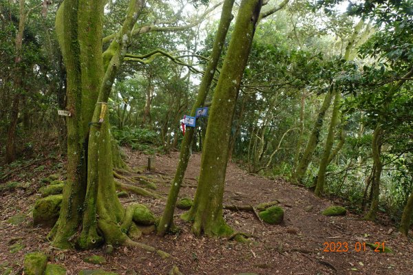 新竹 芎林 雞寮坑山、下橫坑山、芎蕉窩山、牛欄窩山2002470