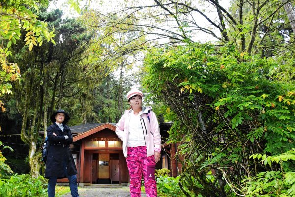 20221018公車旅人阿里山手扎:1141903