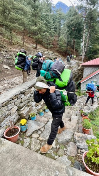 尼泊爾EBC馬牛螺羊動物寫真-山屋-協作-美食2789008
