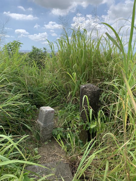 20250830台南牛長山2877115