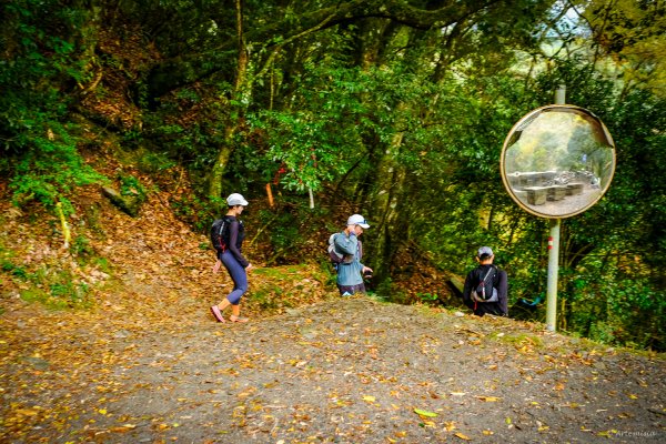 [冬訪大霸聖山岳參行]-大鹿林道東線榆金楓紅與九九山莊精選輯2974700